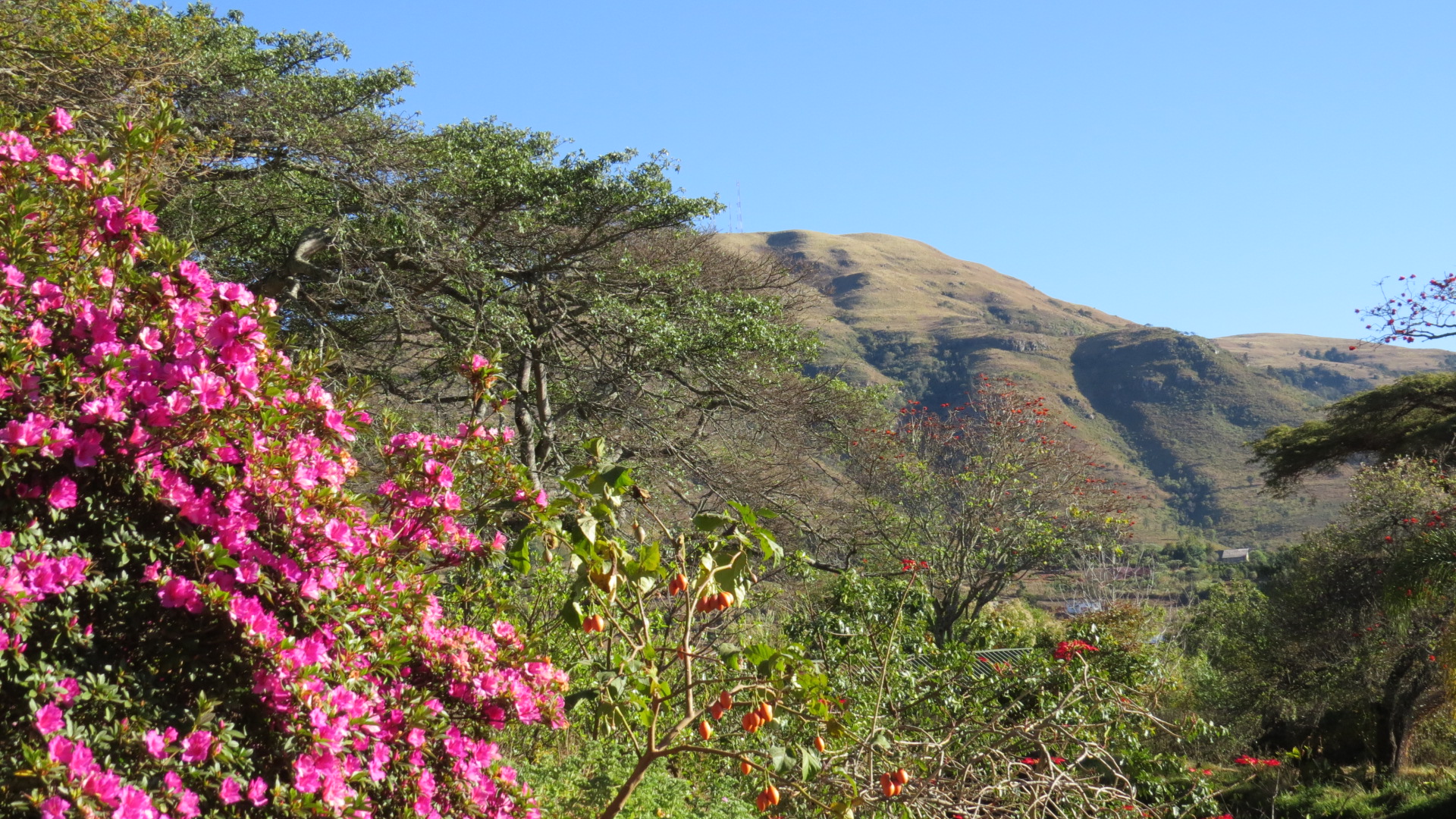 Get to know Chimanimani