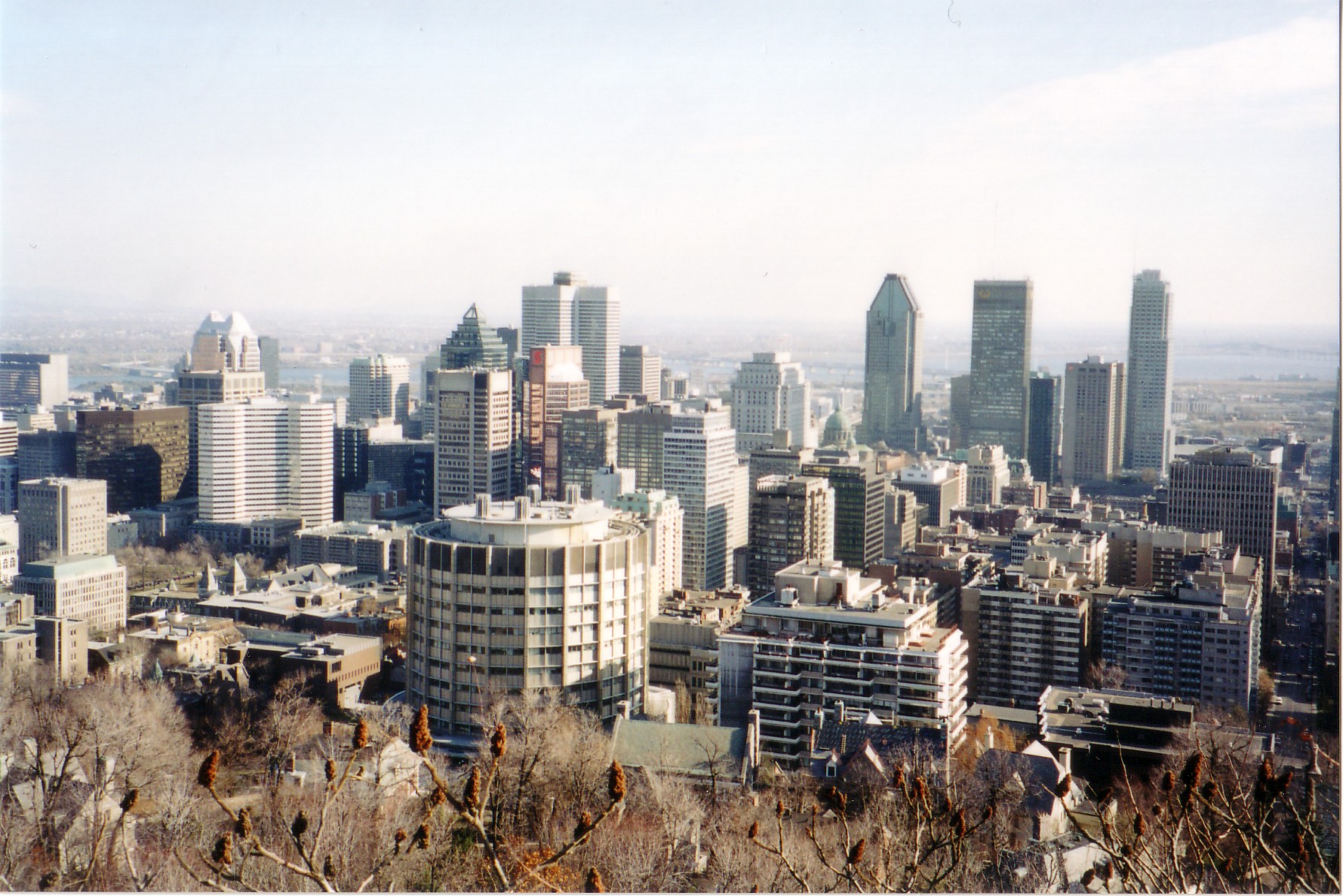 Get to know Montreal