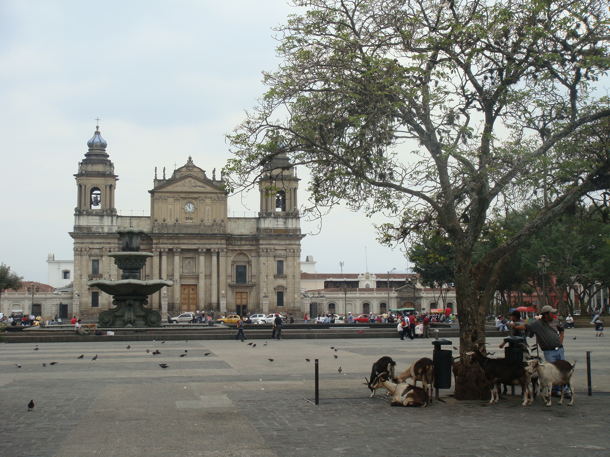 Get to know Guatemala City