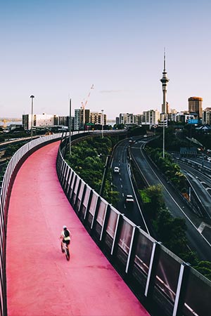 Get to know Auckland