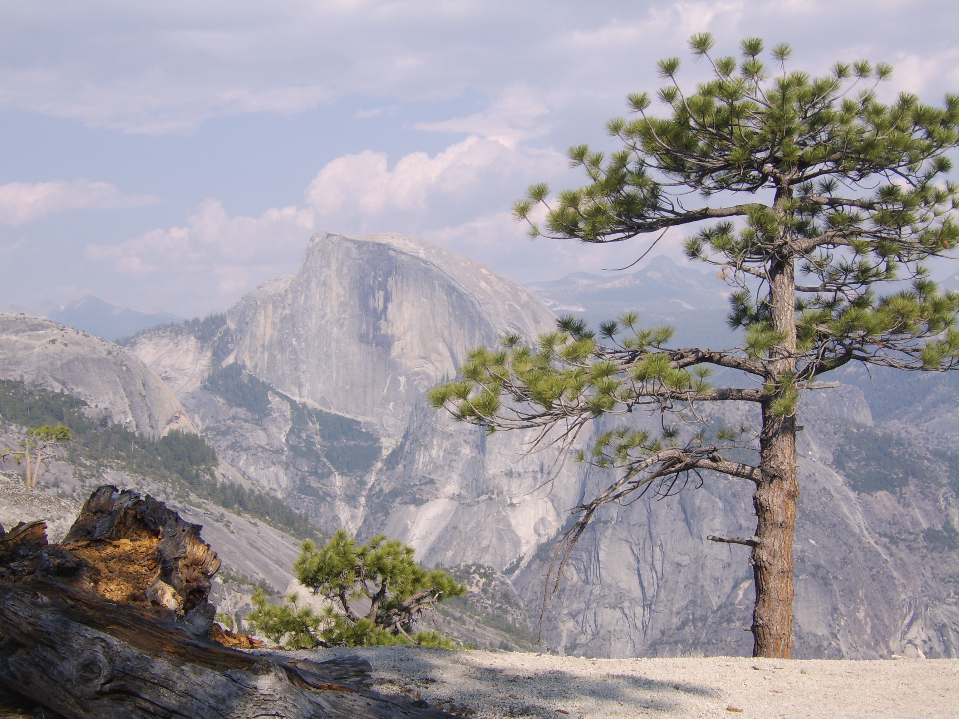 Get to know Yosemite