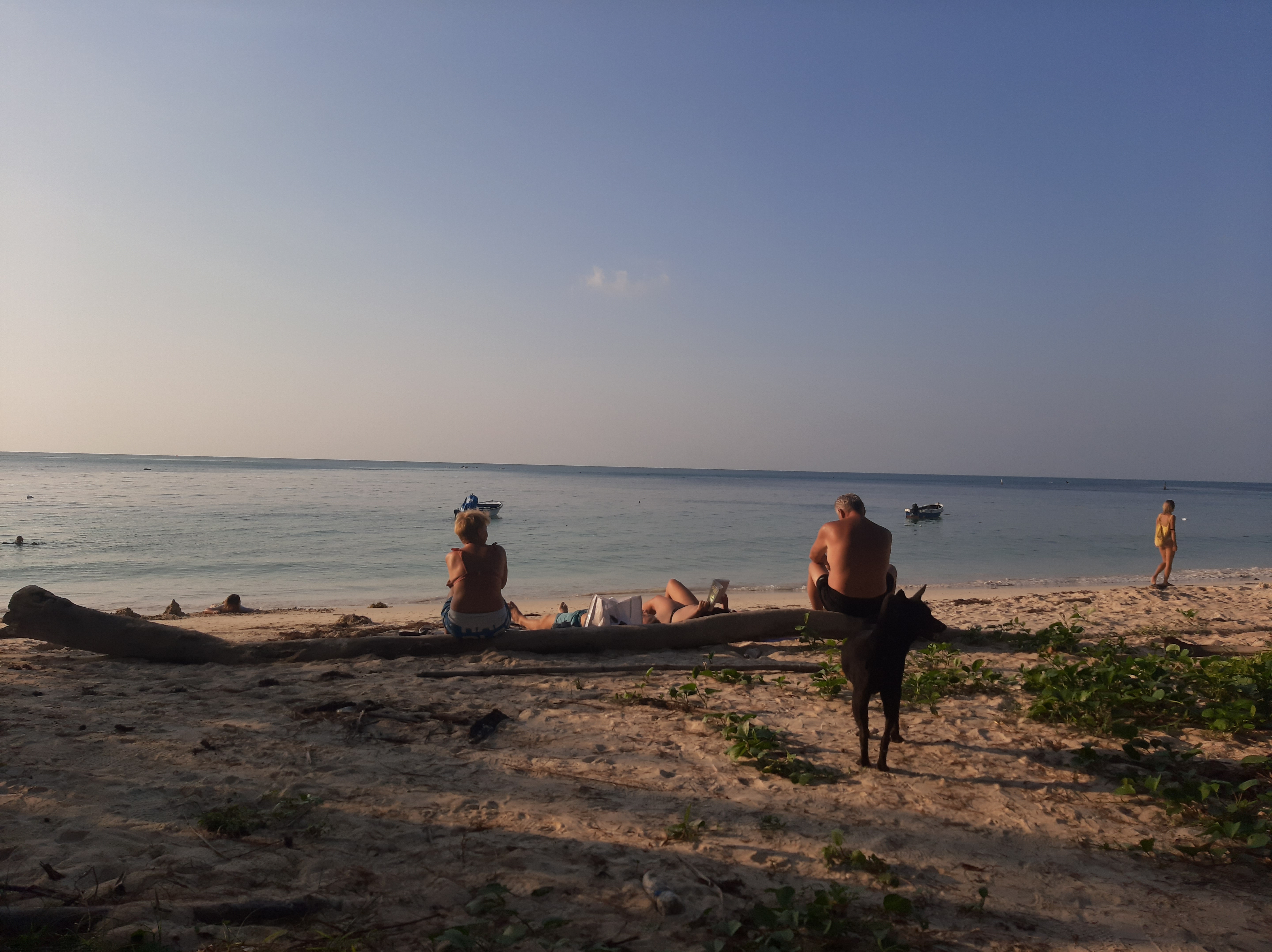 Get to know Koh Phangan