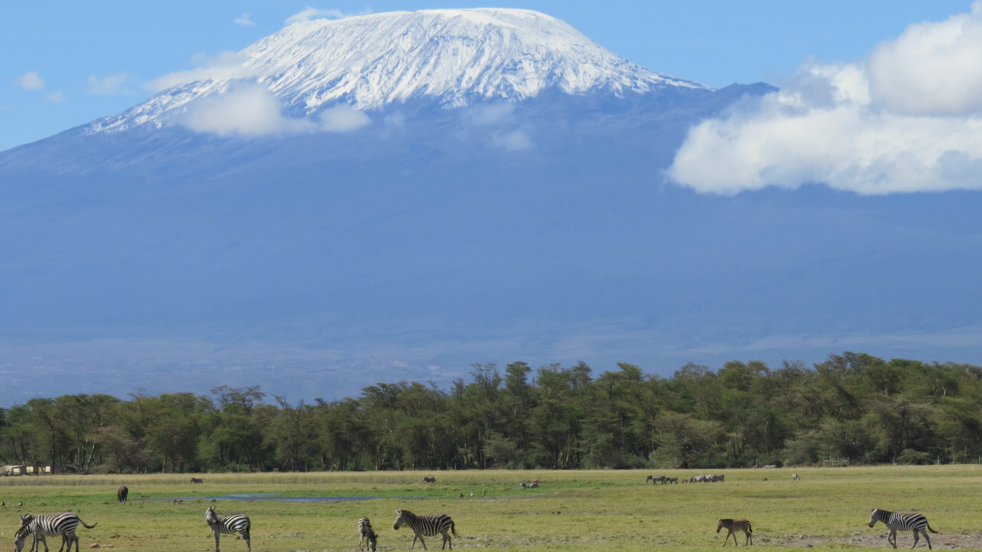 Get to know Kilimanjaro