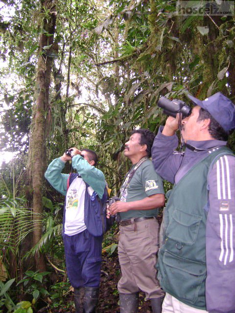 Biohostal Mindo Cloud Forest Reserve, Mindo