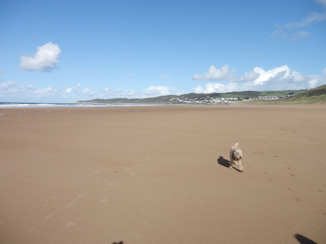 nearby woolacombe beach