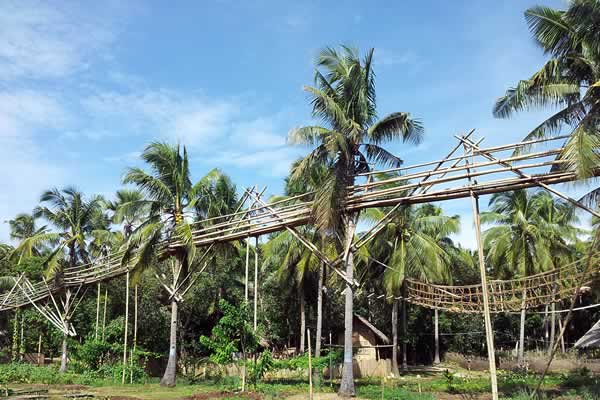 Bohol Coco Farm, Panglao Island