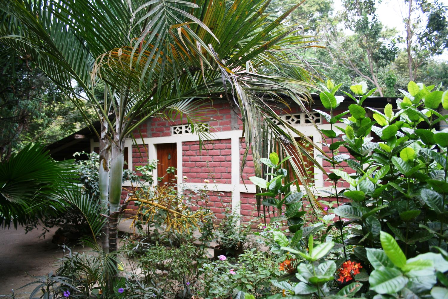 Family hostel La Penita, Ometepe