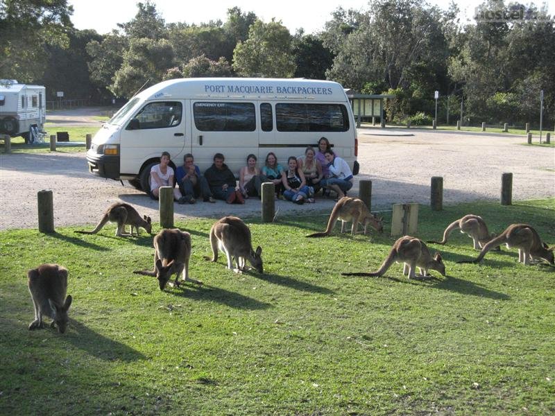 Port Macquarie Backpackers, Port Macquarie