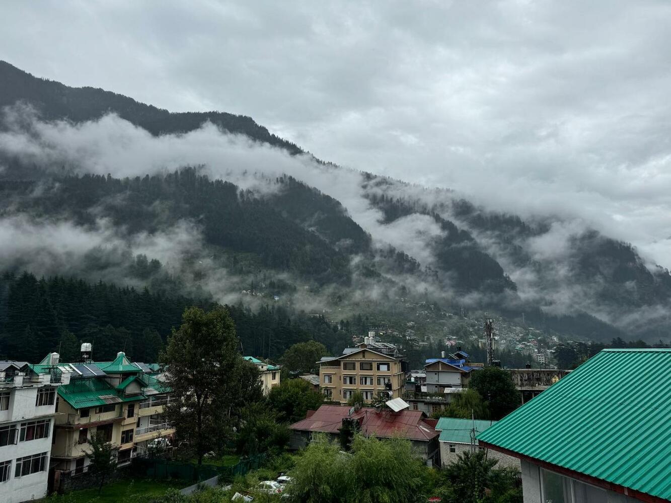 Trippy Turtle Hostel, Manali