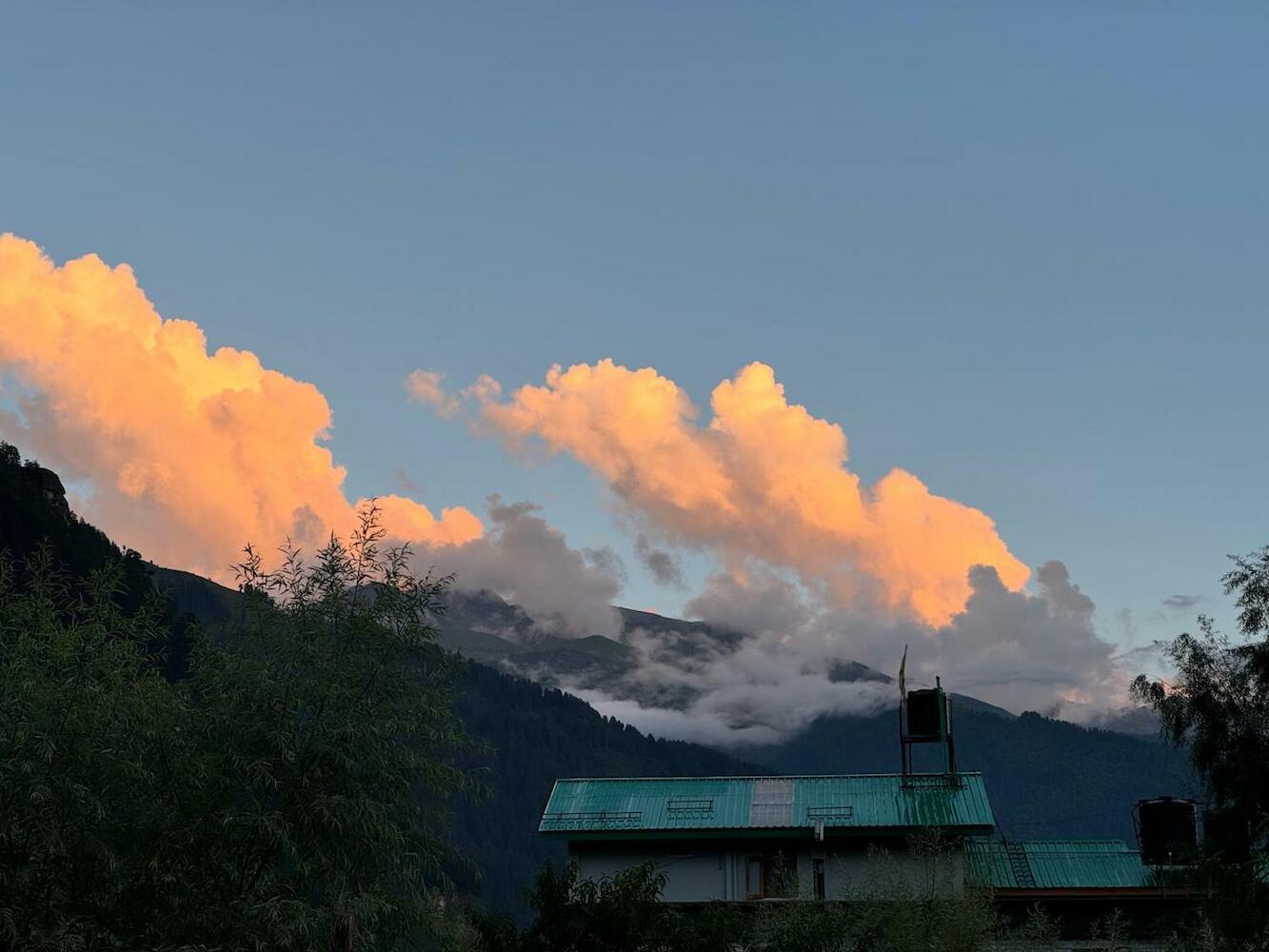 Trippy Turtle Hostel, Manali