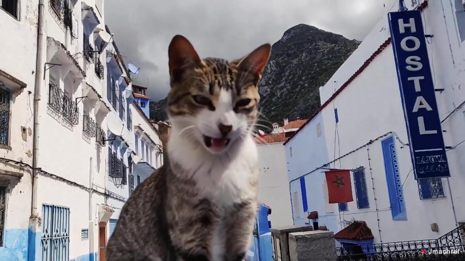 Hostal La Joya, Chefchaouen