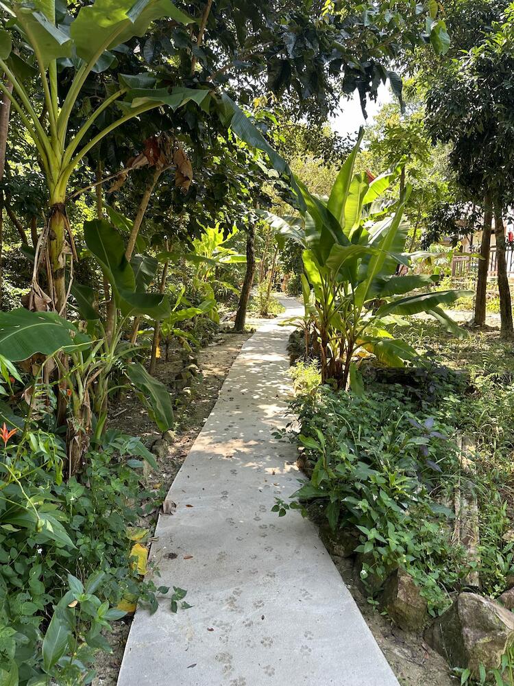 Nest Jungle, Koh Rong