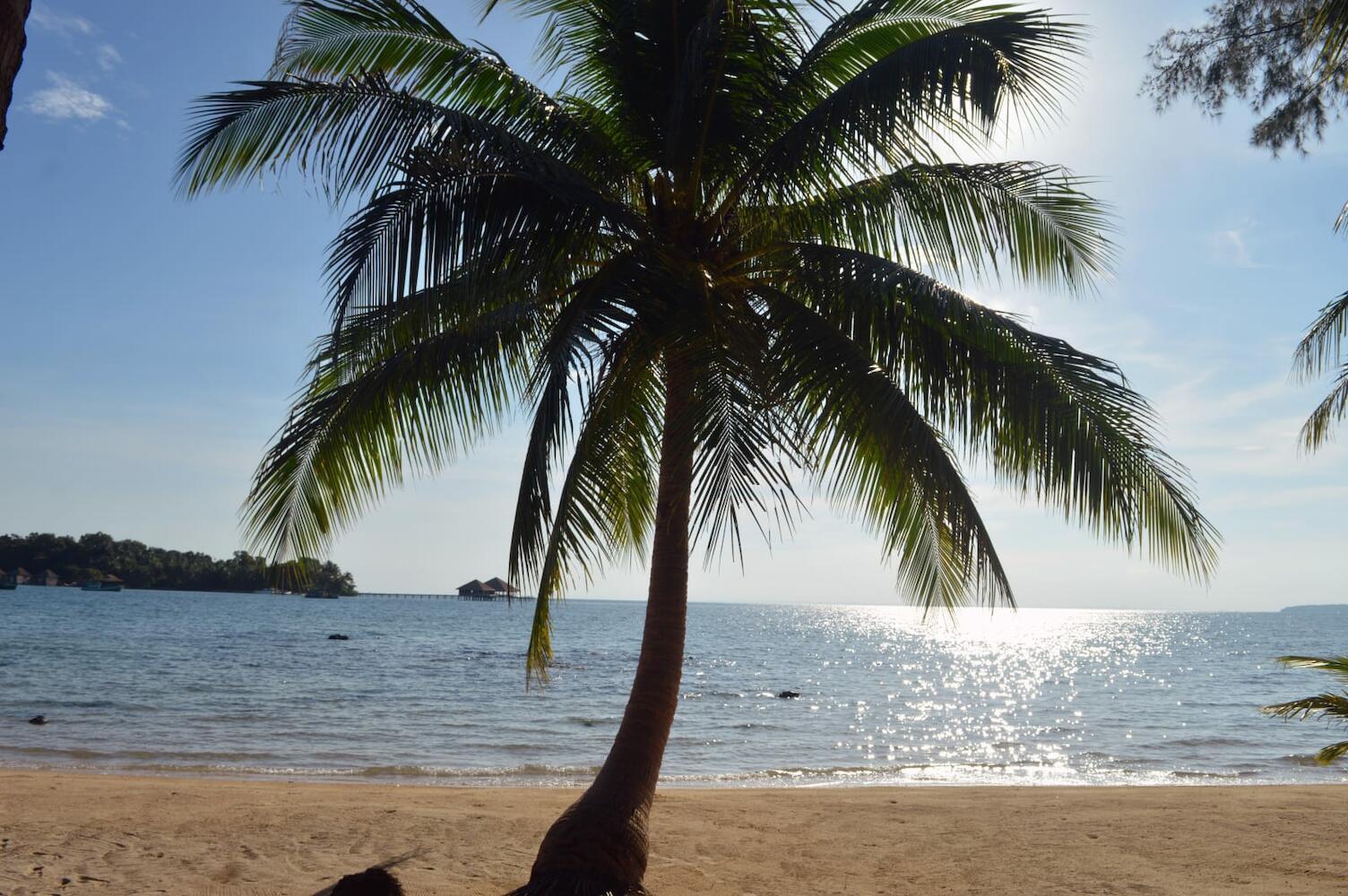 Salacia Palm Beach, Koh Rong