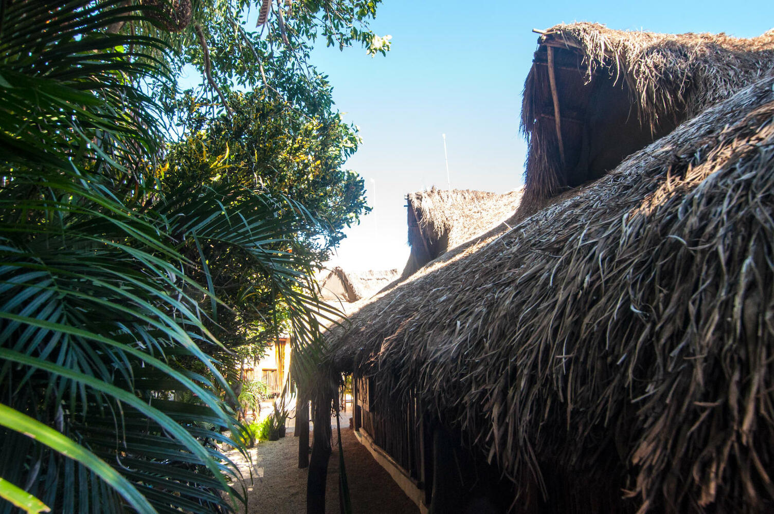 Chill Inn Hostel, Tulum