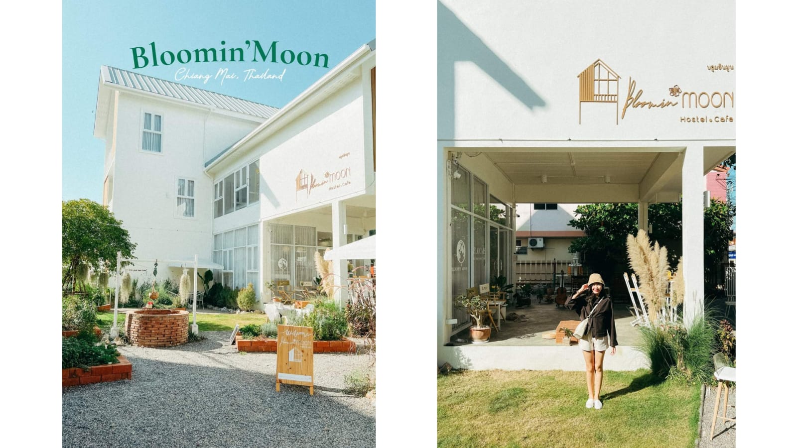 Bloomin' Moon Hostel, Chiang Mai Old Town, Chiang Mai