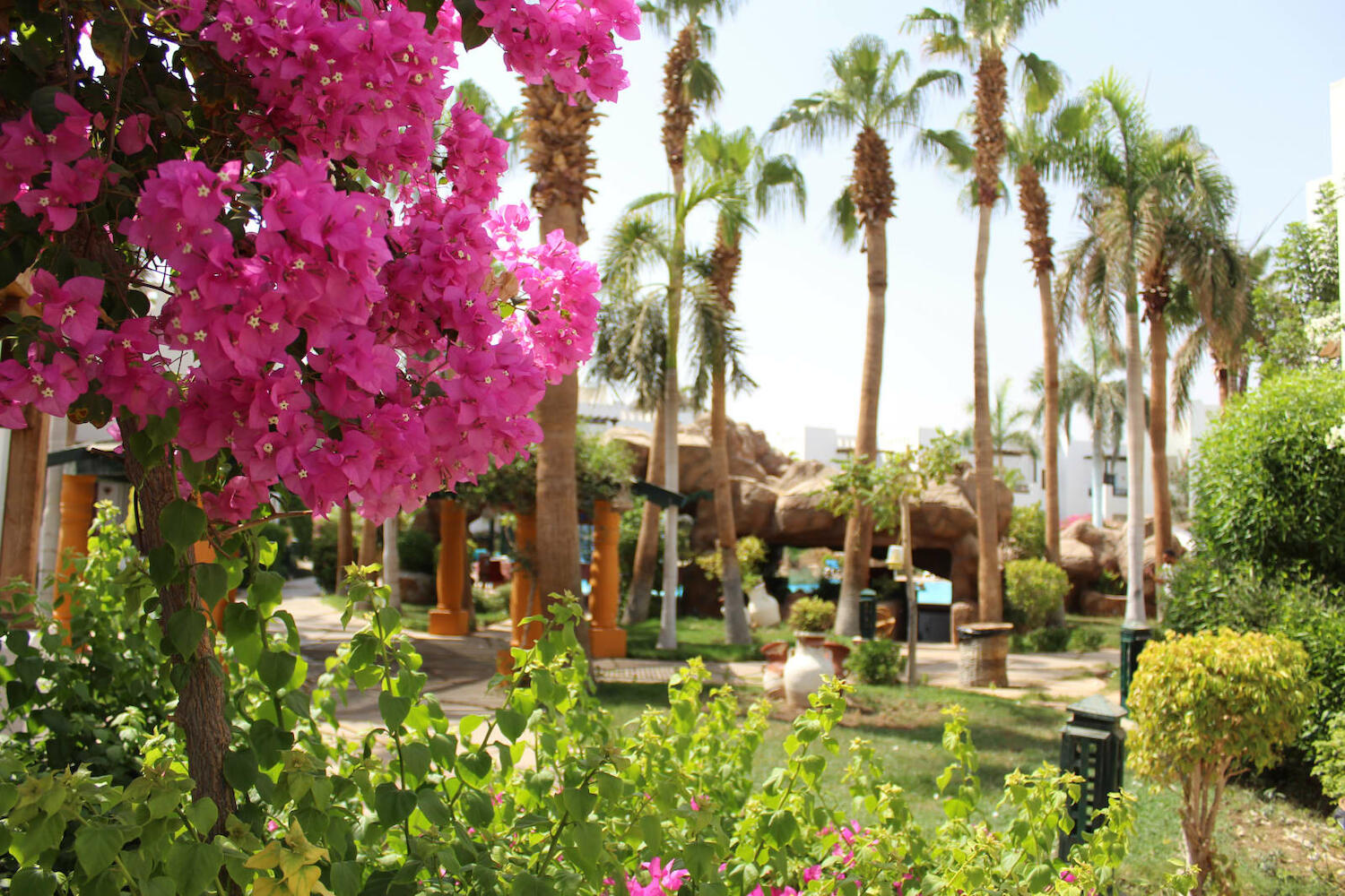 Get to know Sharm el-Sheikh