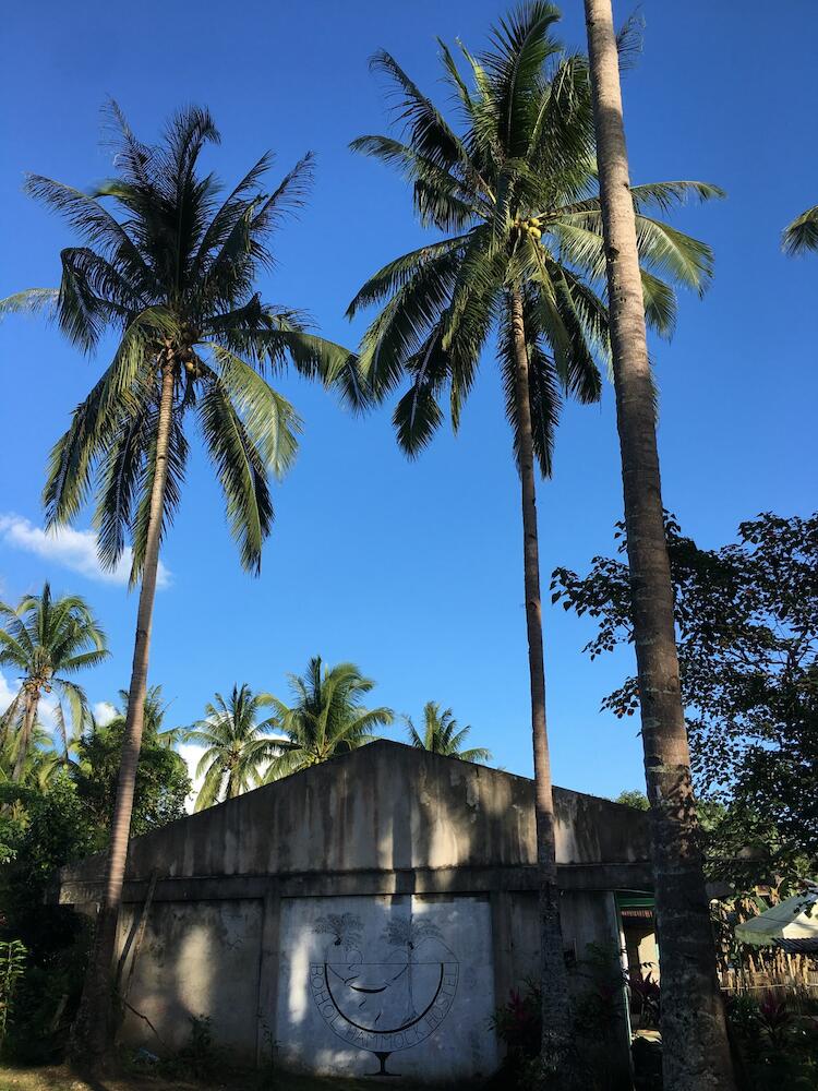 Bohol Hammock Hostel, Bohol Island