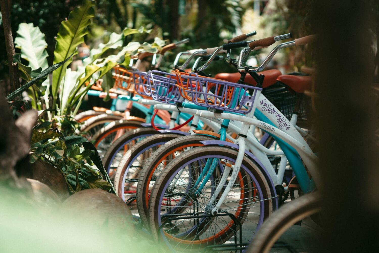 Oryx Hostel, Tulum