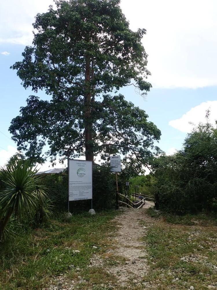 Eskapo Verde, Moalboal