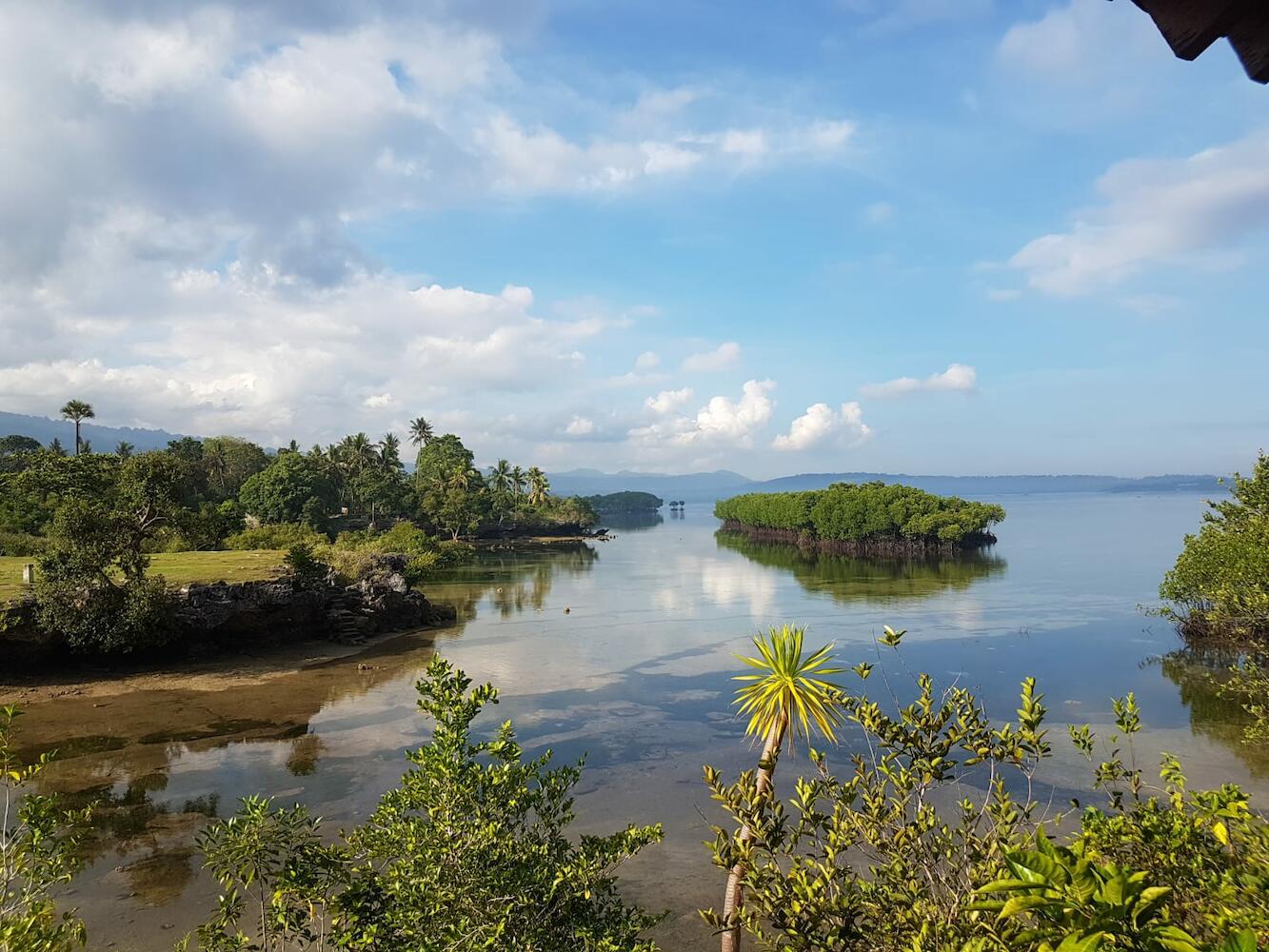 Eskapo Verde, Moalboal