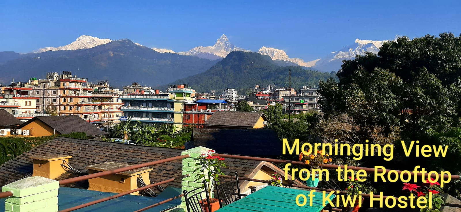 Kiwi Backpackers Hostel, Pokhara