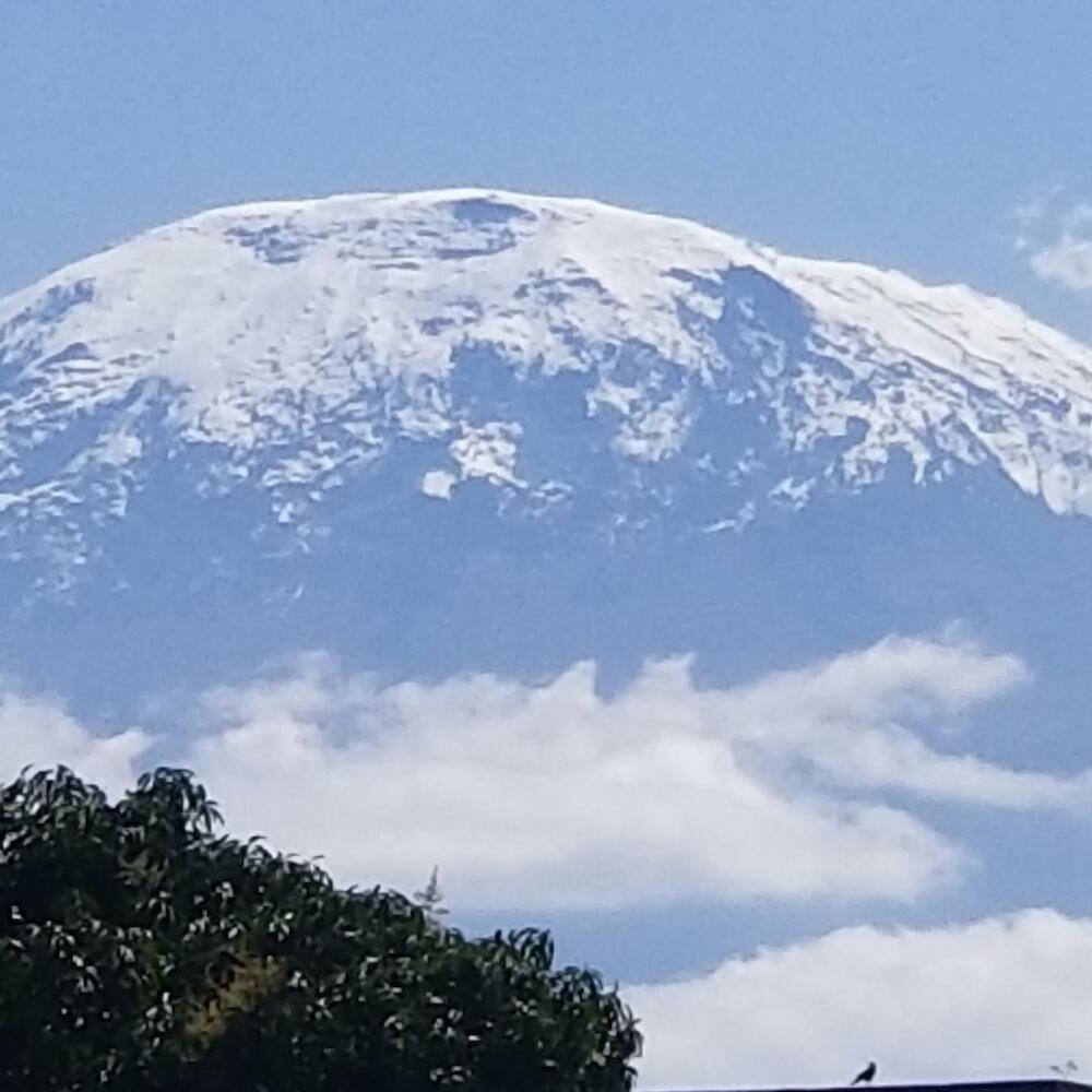 Climbers Home, Moshi