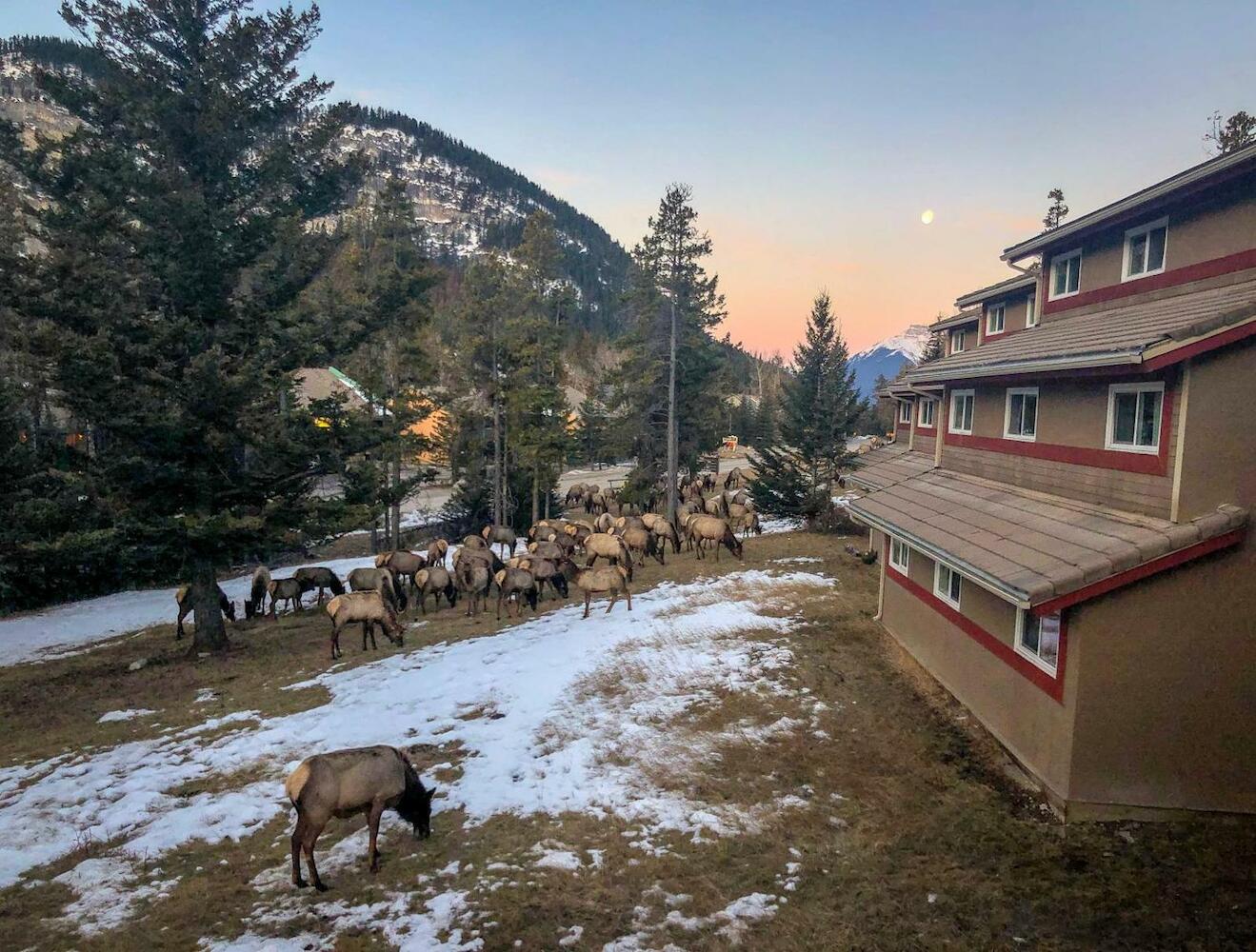 HI - Banff - Alpine Centre Hostel, Banff National Park