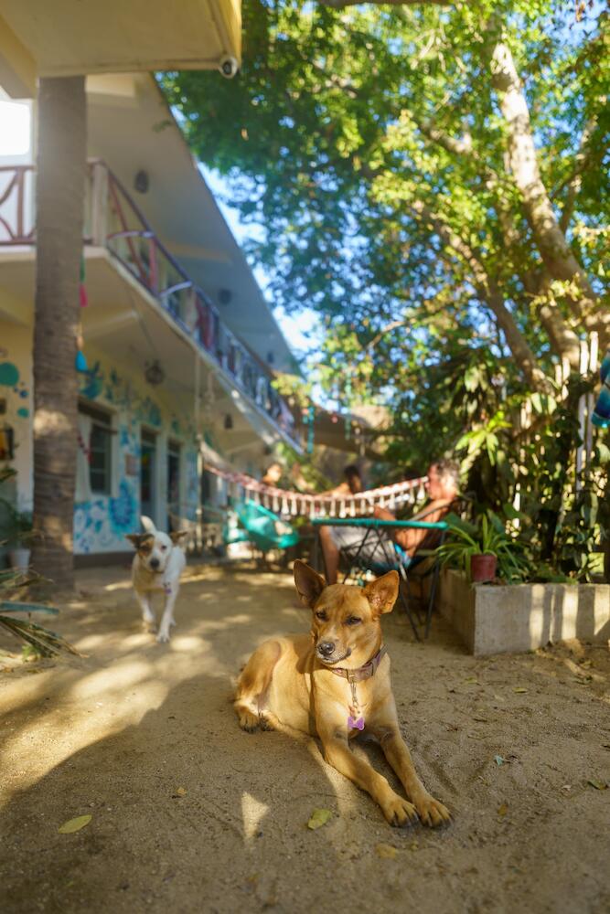 Hostal Alma Turquesa, Mazunte