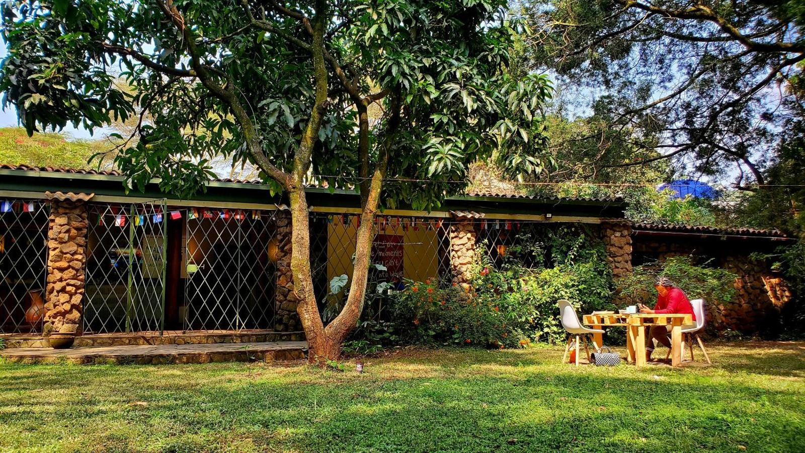 Mad Vervet Backpackers Hostel, Nairobi