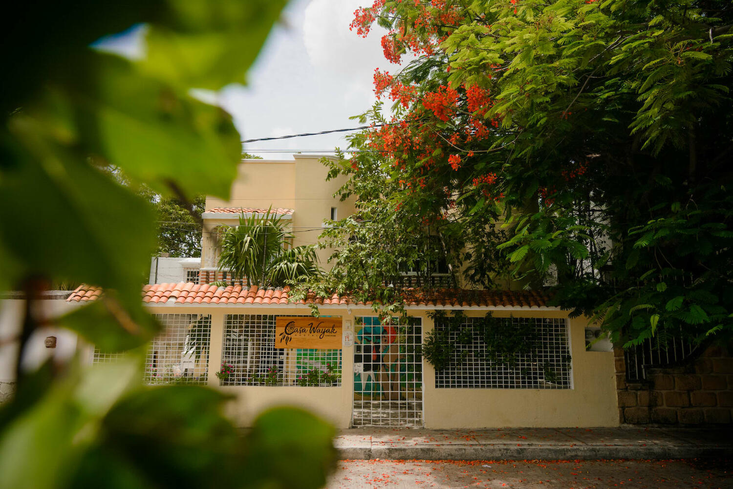 Casa Wayak, Cancún