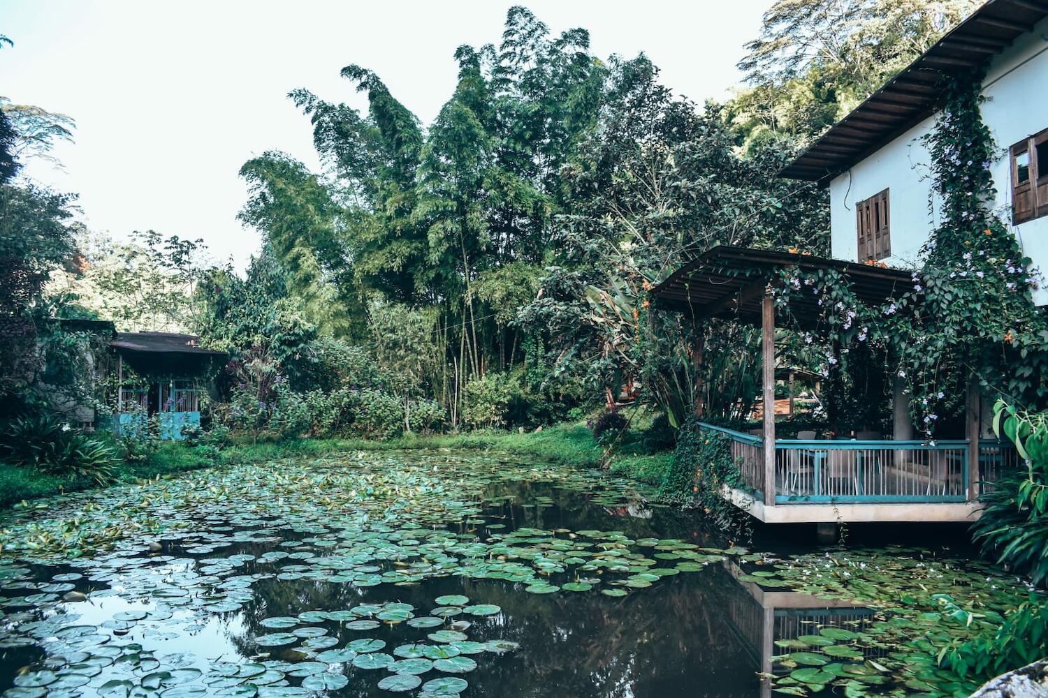 Charco Corazon, Jardin