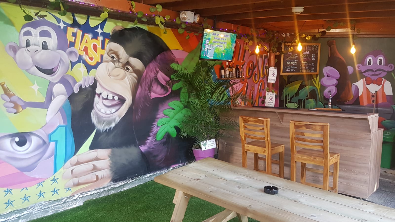 Purple Monkey Hostel, Medellin