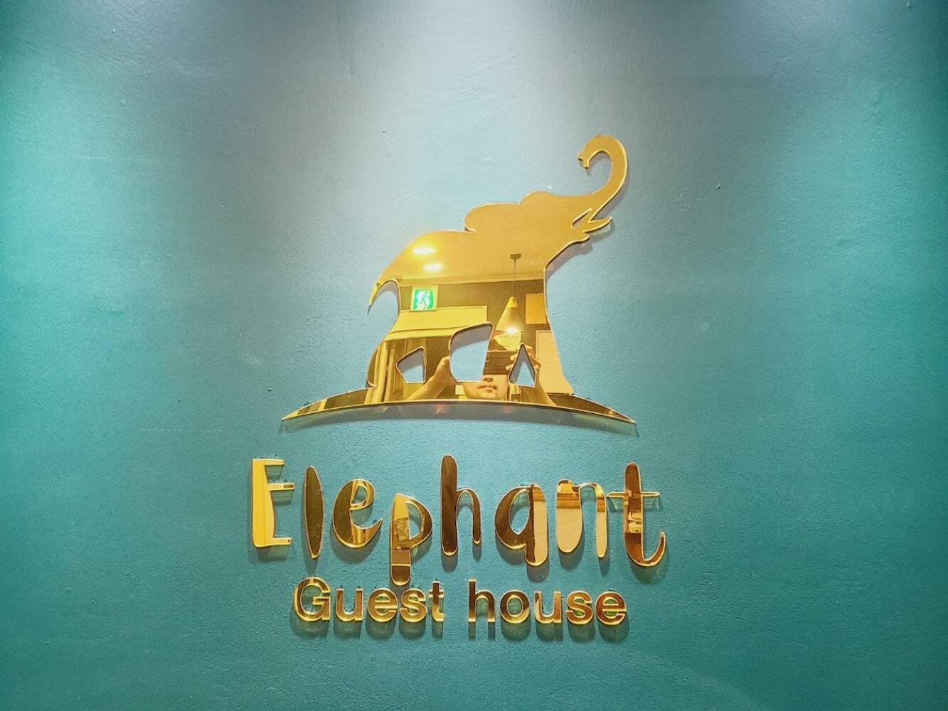 Elephant Hostel, Busan