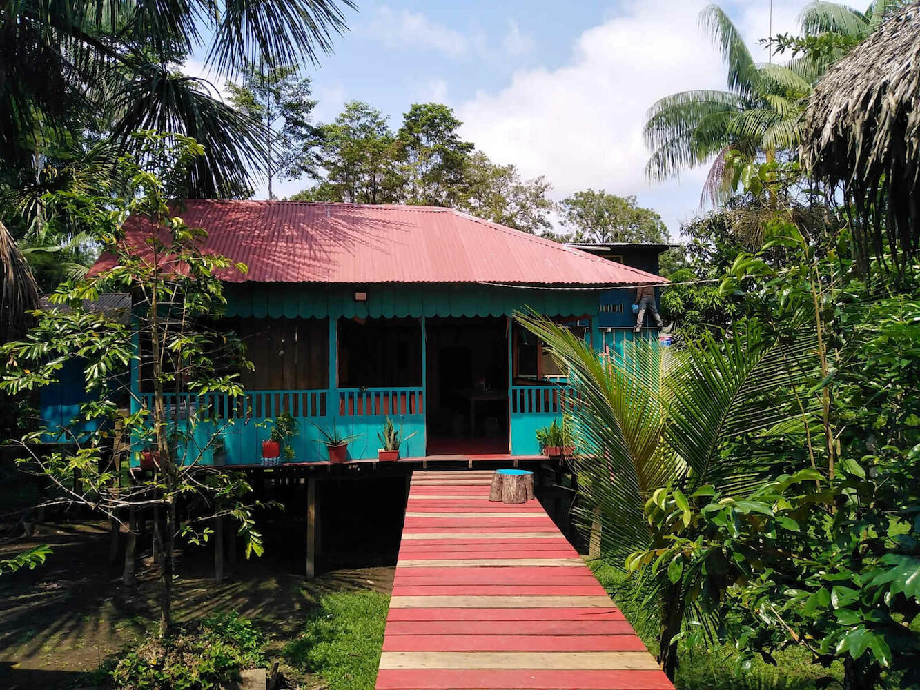 Hostal Buho Amazonas, Leticia