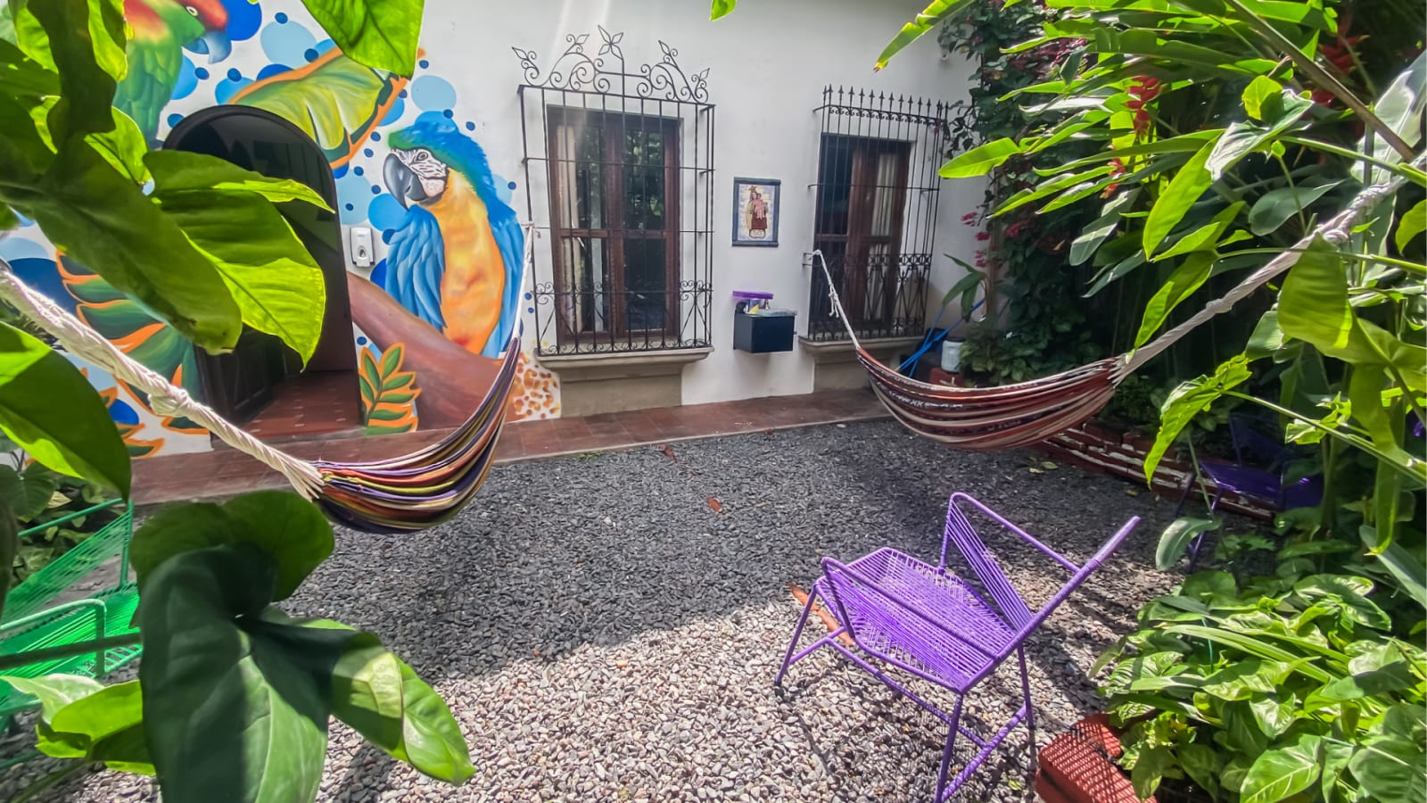 Tropicana Hostel, La Antigua