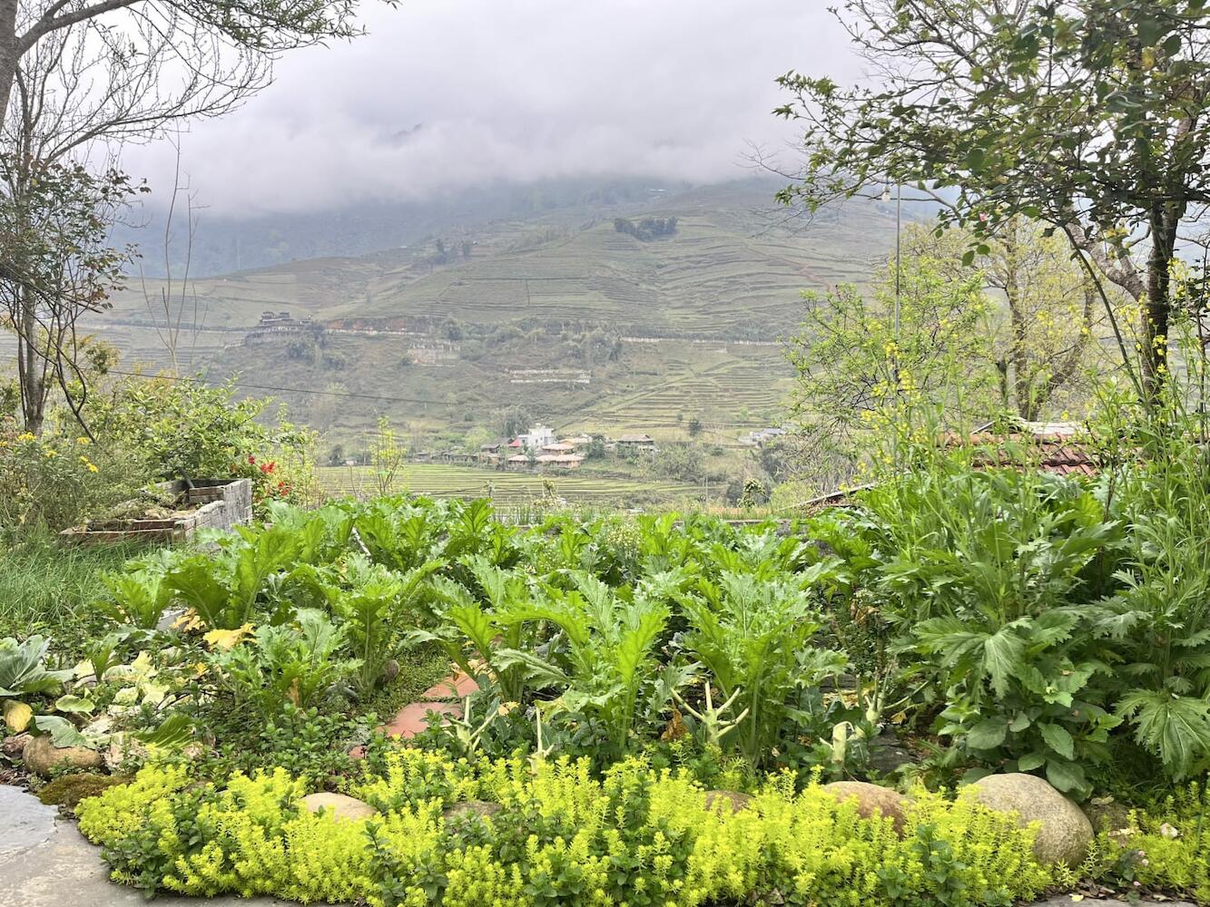 Ta Van Heaven Homestay, Sapa