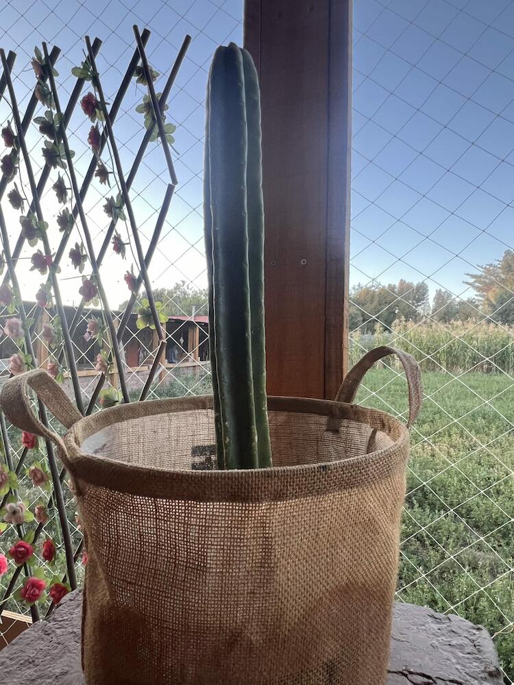 Hostel Mal De Puna, San Pedro de Atacama