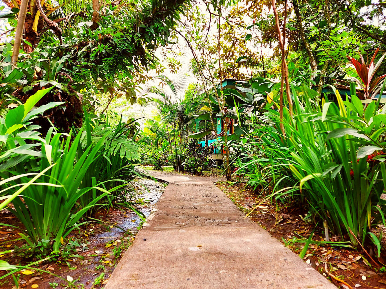 Cabinas Tortuguero, Tortuguero