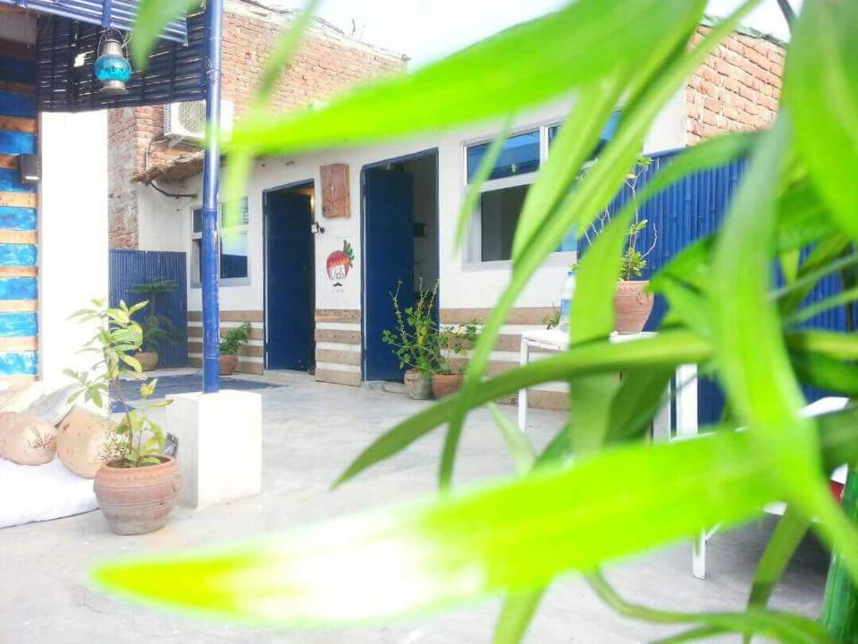 Chalo Eco Hostel, Jaipur