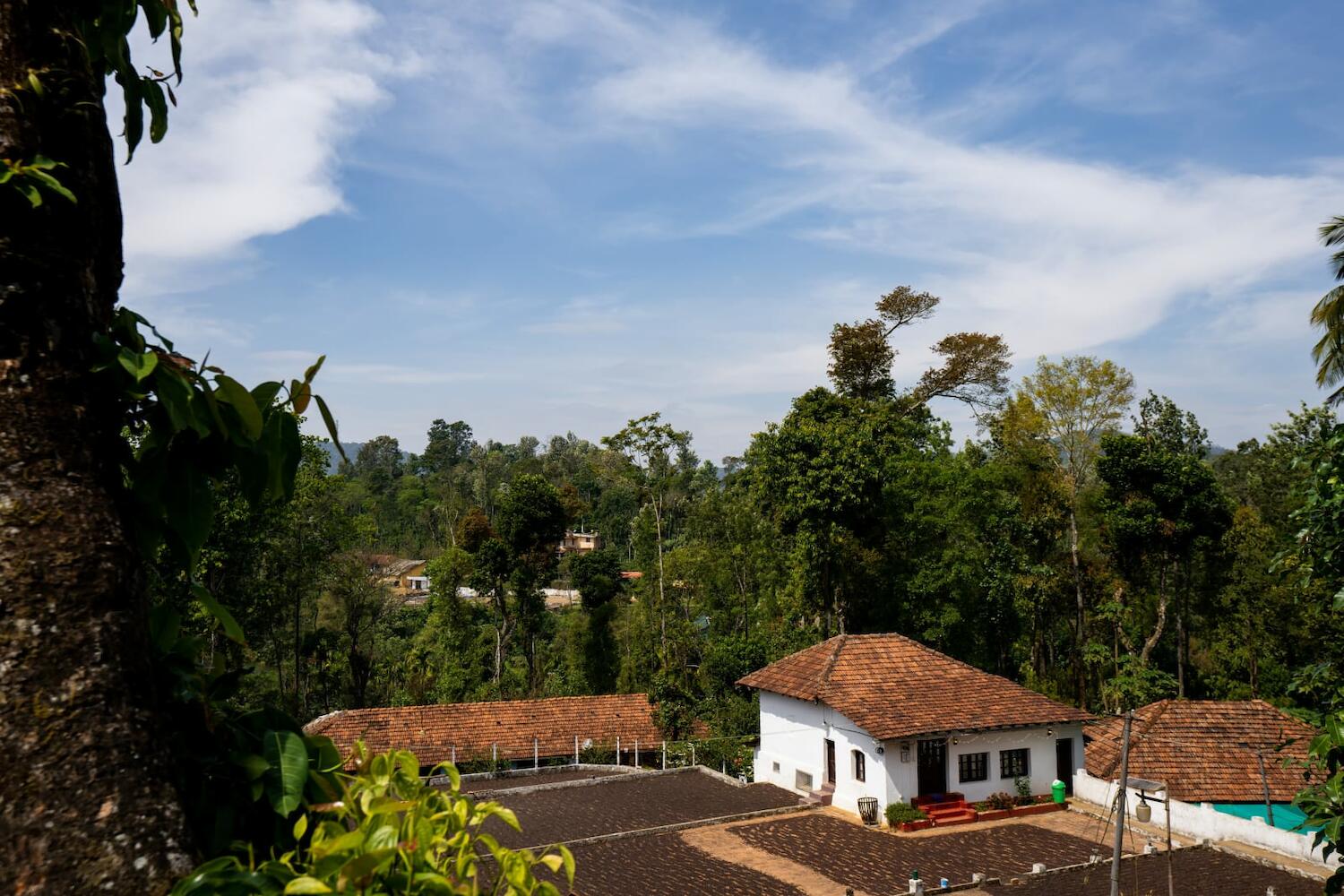 Zostel Coorg (Madikeri), Coorg