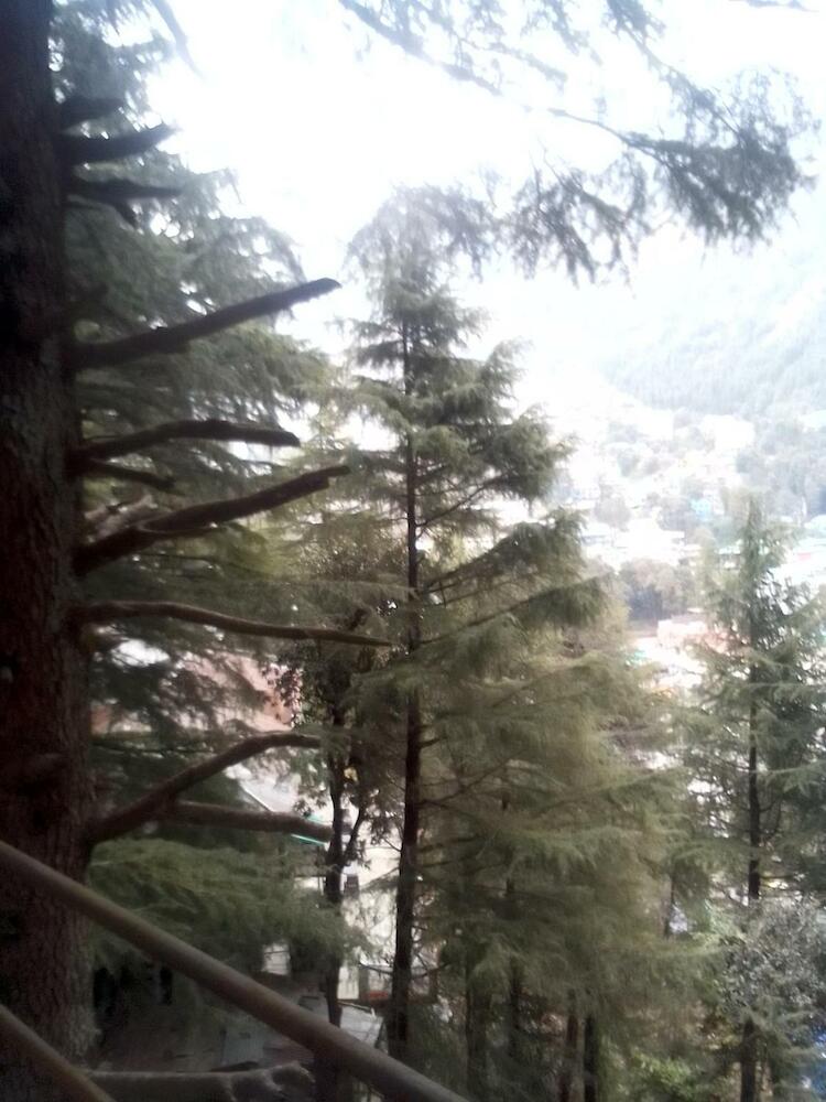 Himalayan Mountain View, McLeod Ganj