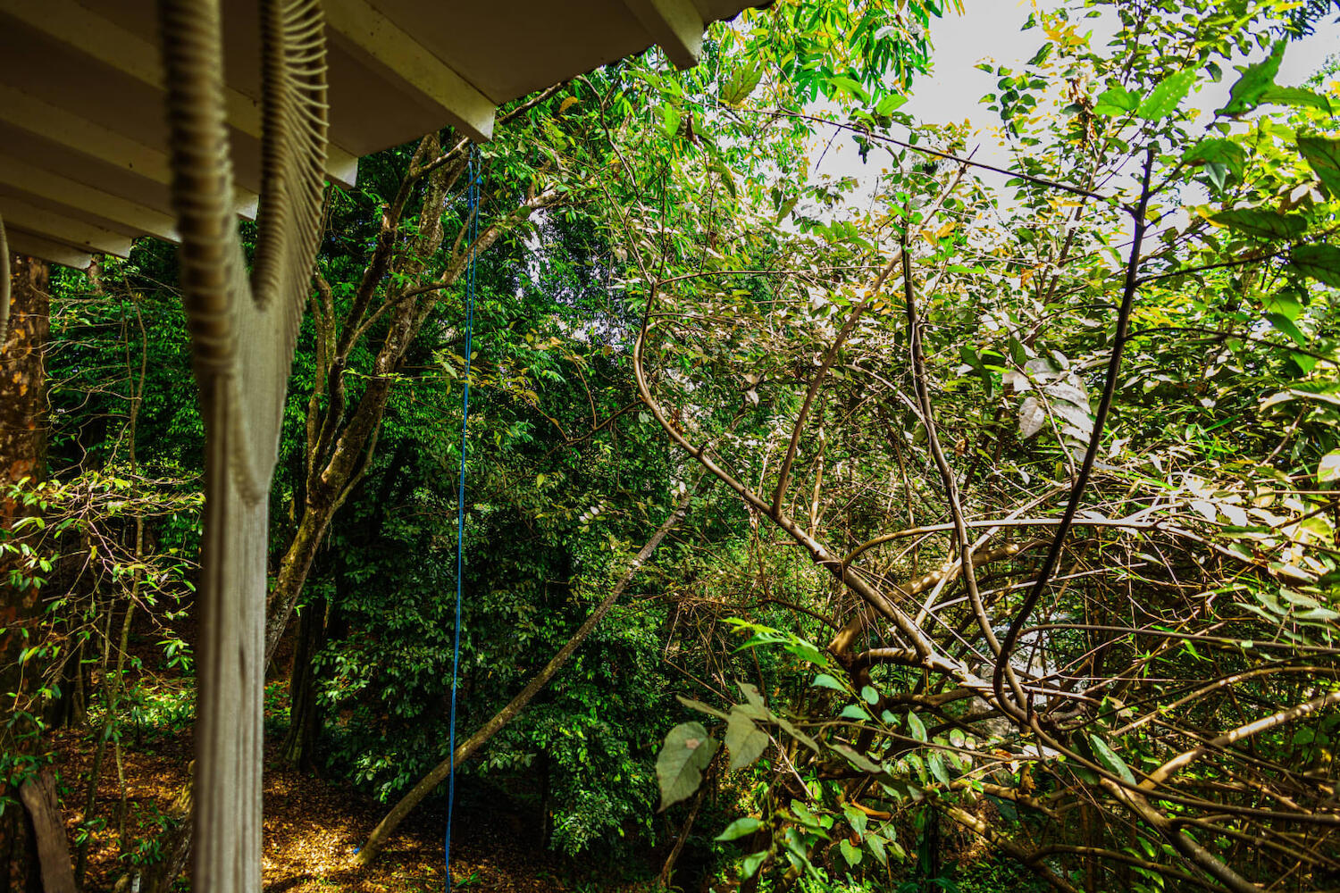 Hostel Manuel Antonio Park Jungle, Quepos