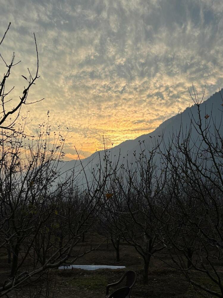 The Hideout - Hiraeth, Manali