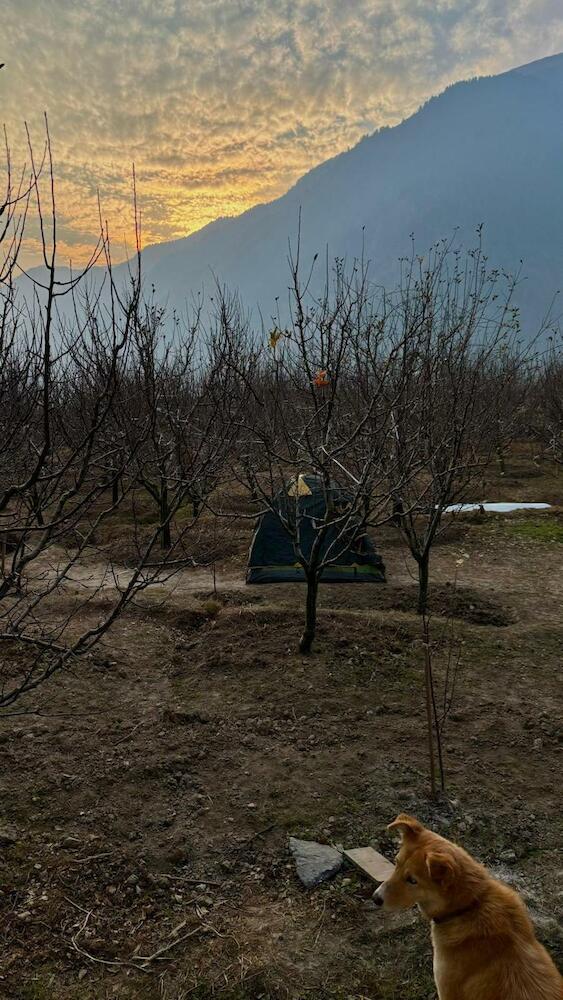 The Hideout - Hiraeth, Manali