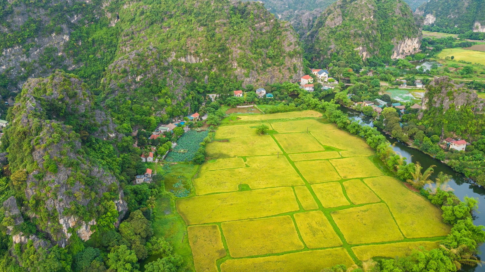 Green Mountain Homestay, Ninh Binh