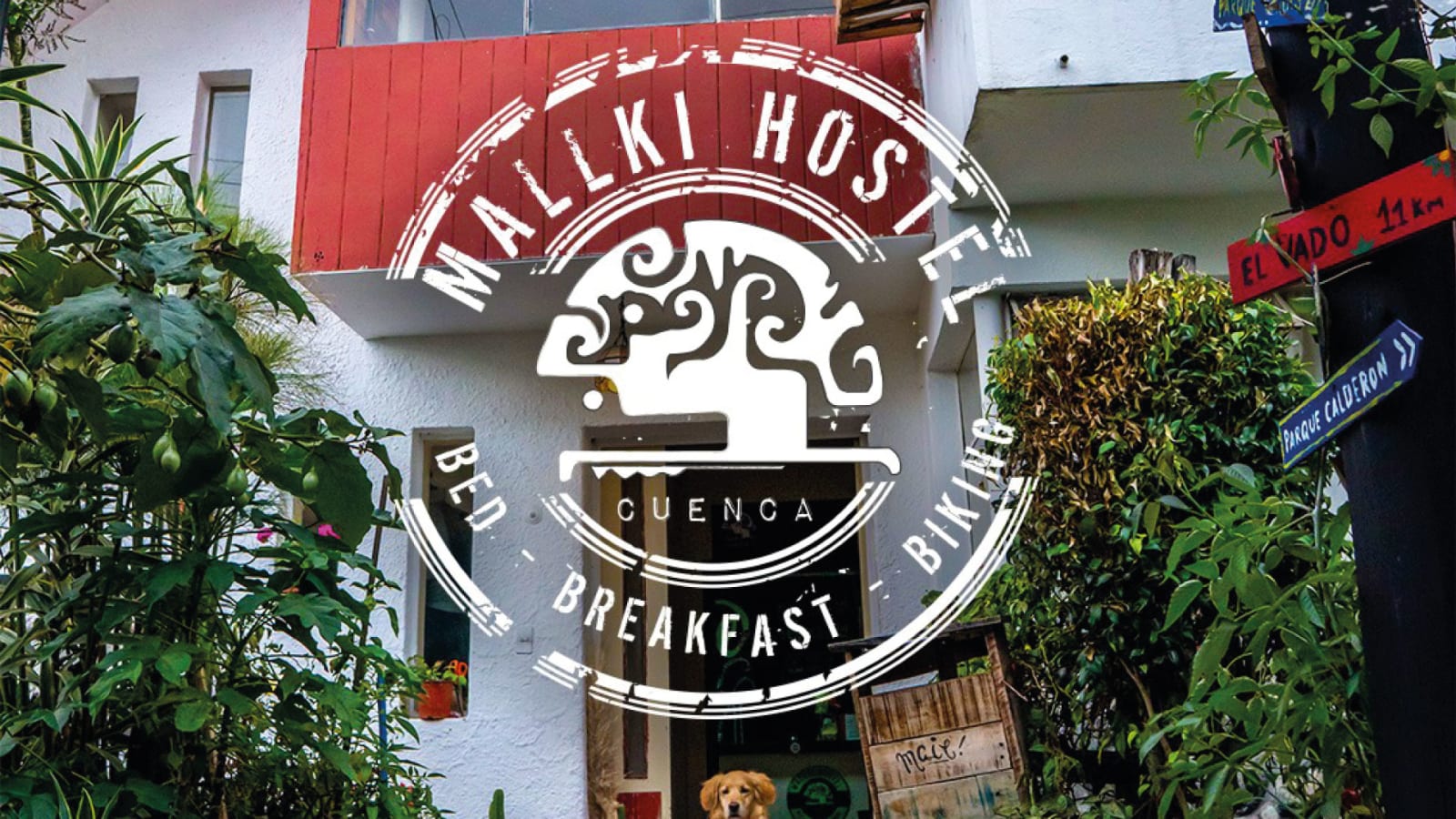 Mallki Hostel, Cuenca