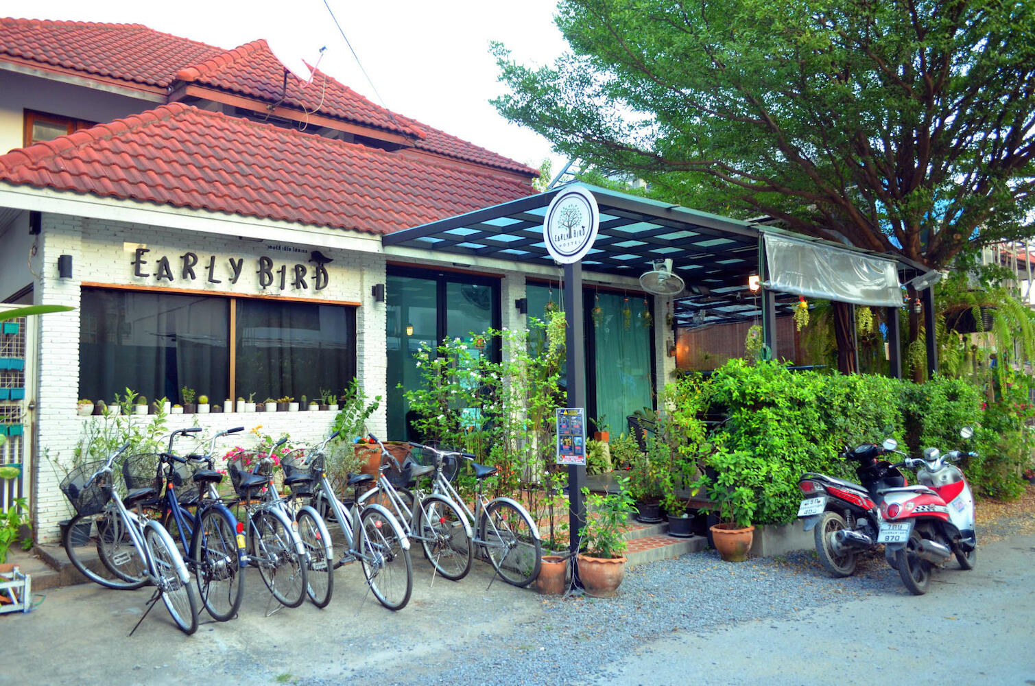 Early Bird Hostel, Ayutthaya