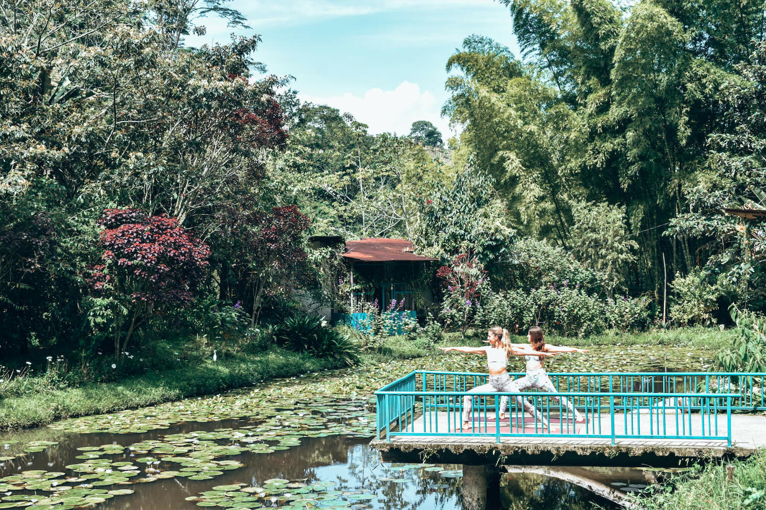 Charco Corazon, Jardin