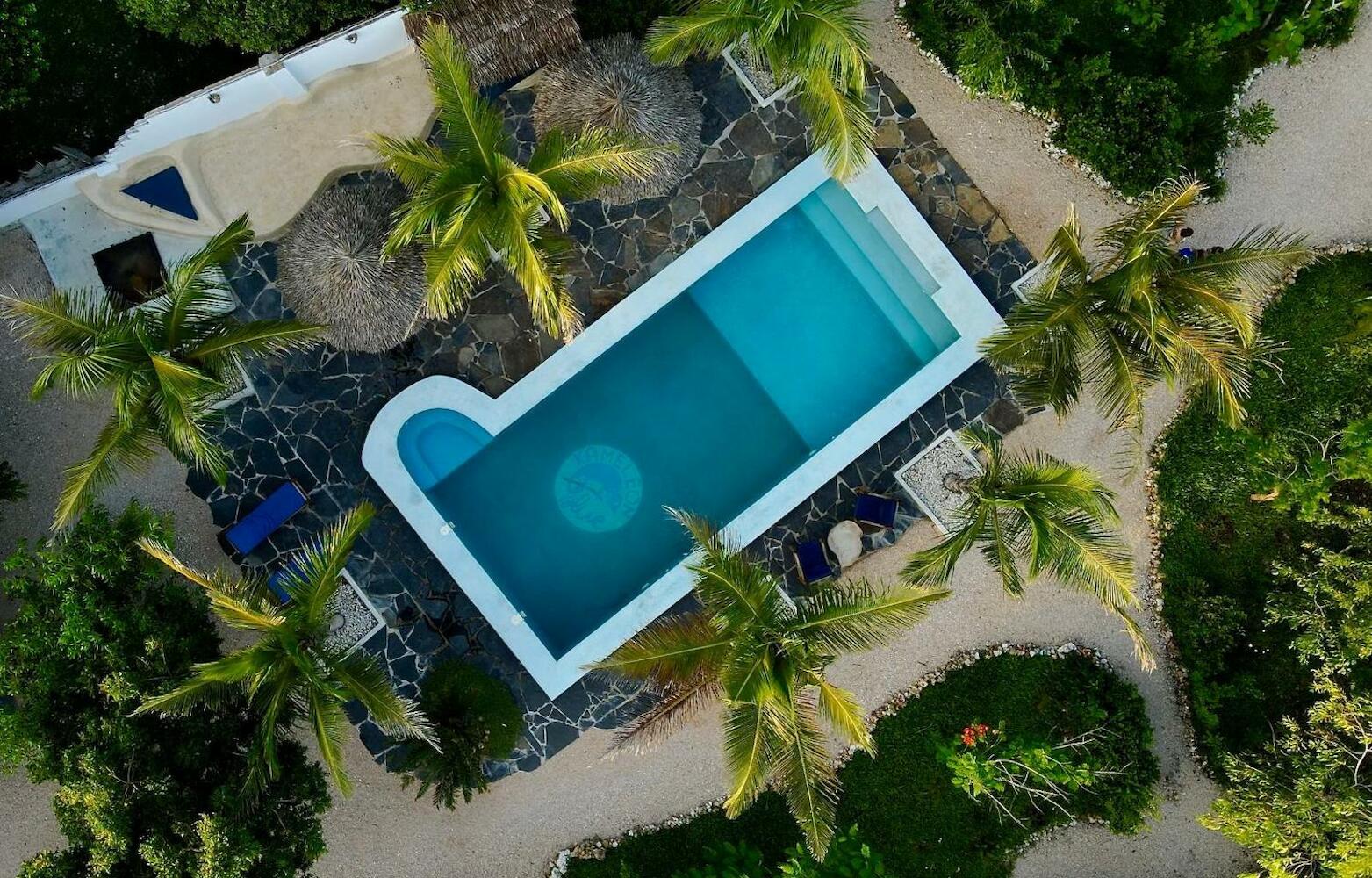 Kameleon Blue, Zanzibar