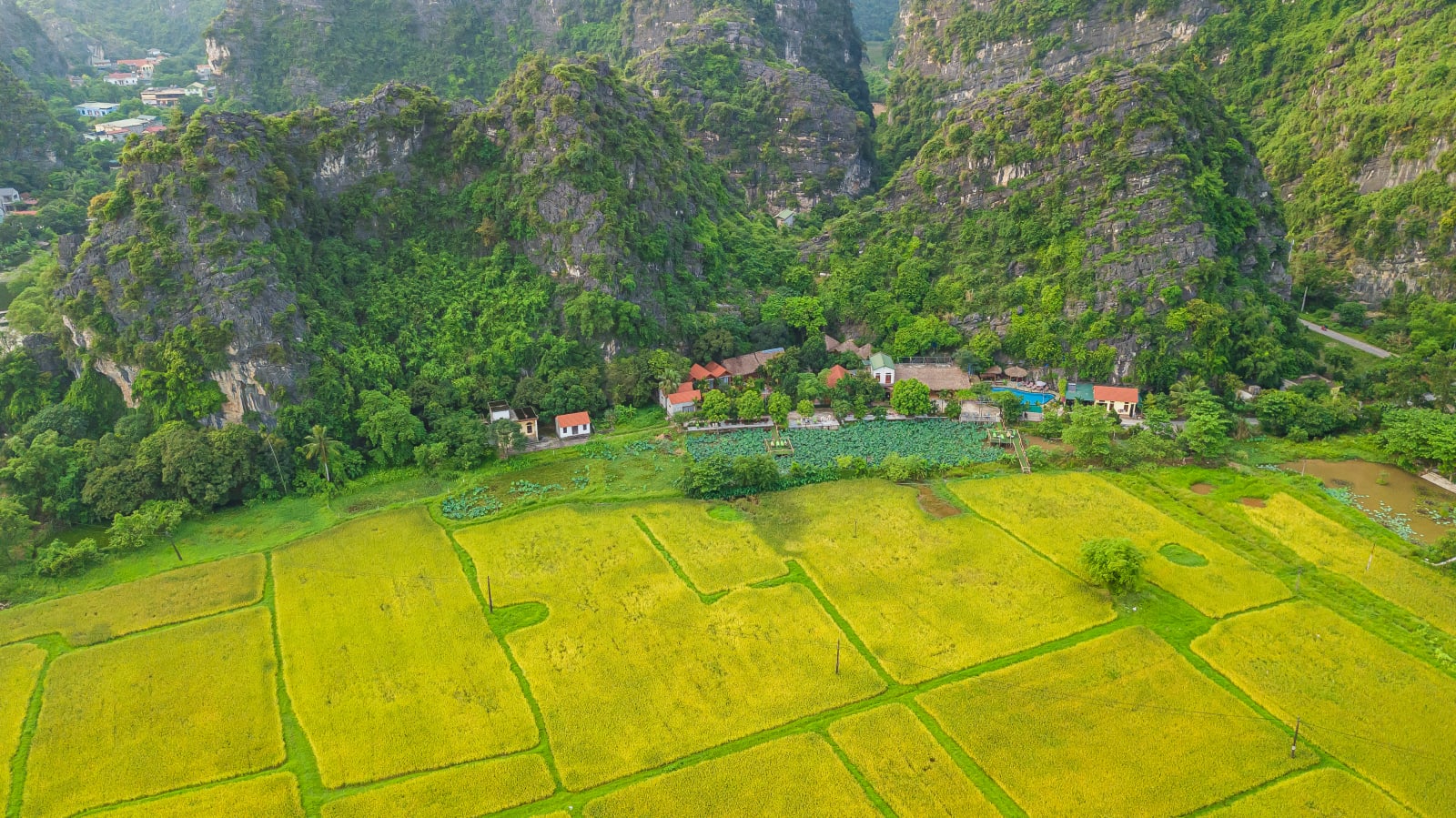 Green Mountain Homestay, Ninh Binh